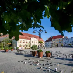 Najlepsze atrakcje w Darłowie, które musisz zobaczyć podczas wizyty