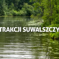 Atrakcje w Suwałkach, które zaskoczą każdego turystę i zachwycą