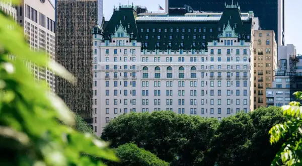 Ile kosztuje noc w hotelu Plaza? Ceny, które zaskoczą każdego