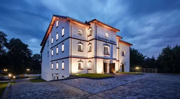 Gdzie zjeść w Opatowie? Odkryj najlepsze restauracje i lokale